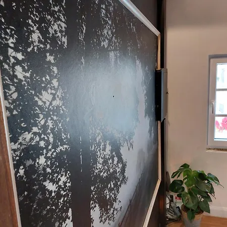 Le Rustiques Moderne De La Raquette Appartement